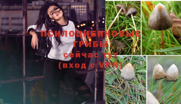 мяу мяу кристалл Богородицк