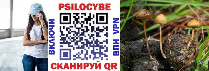 мориарти Telegram  Муравленко  Галлюциногенные грибы MAGIC MUSHROOMS  наркота 